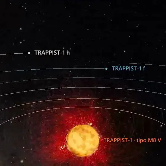 Captura del simulador: TRAPPIST-1 (7 planetas)